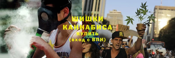 стаф Пестово