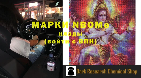 a pvp Пересвет