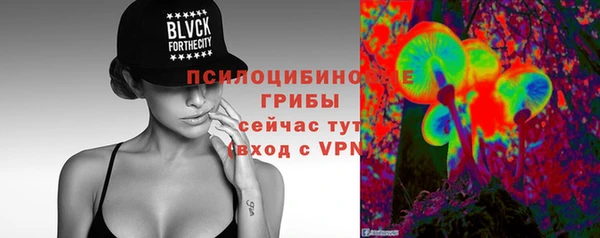 стаф Пестово
