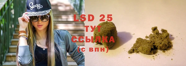 a pvp Пересвет