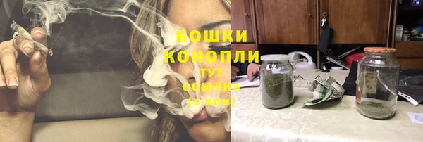 a pvp Пересвет