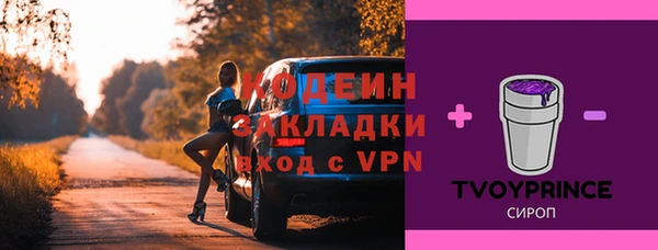 a pvp Пересвет