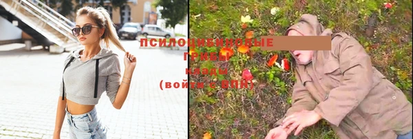 стаф Пестово