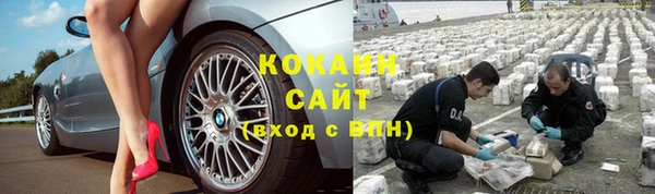стаф Пестово