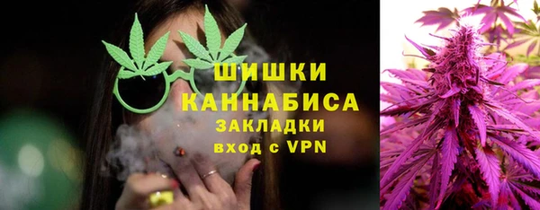 молекула духа Осинники