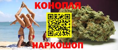 индика Гай