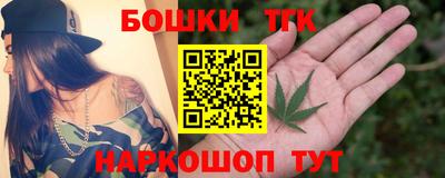 индика Гай