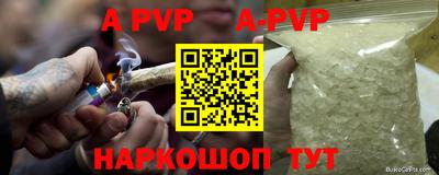 индика Гай