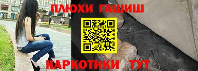 индика Гай