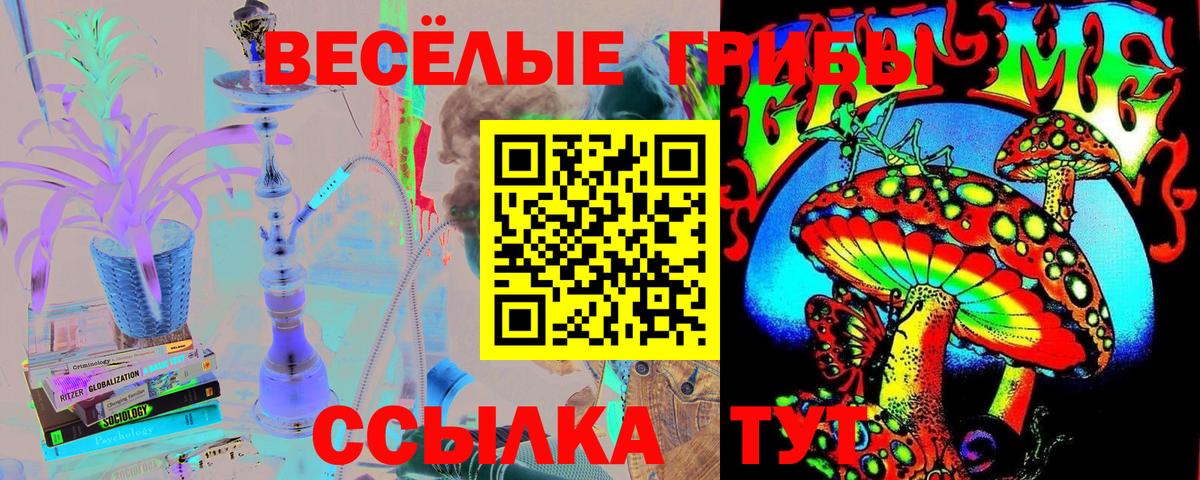 Галлюциногенные грибы Psilocybe Арсеньев