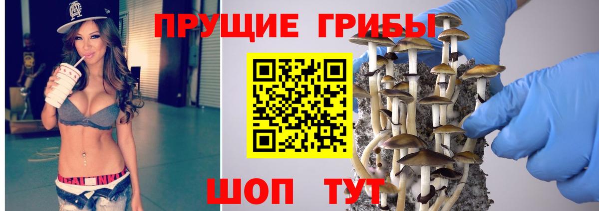 хочу   Галлюциногенные грибы ЛСД  Арсеньев  Псилоцибиновые грибы Psilocybe 
